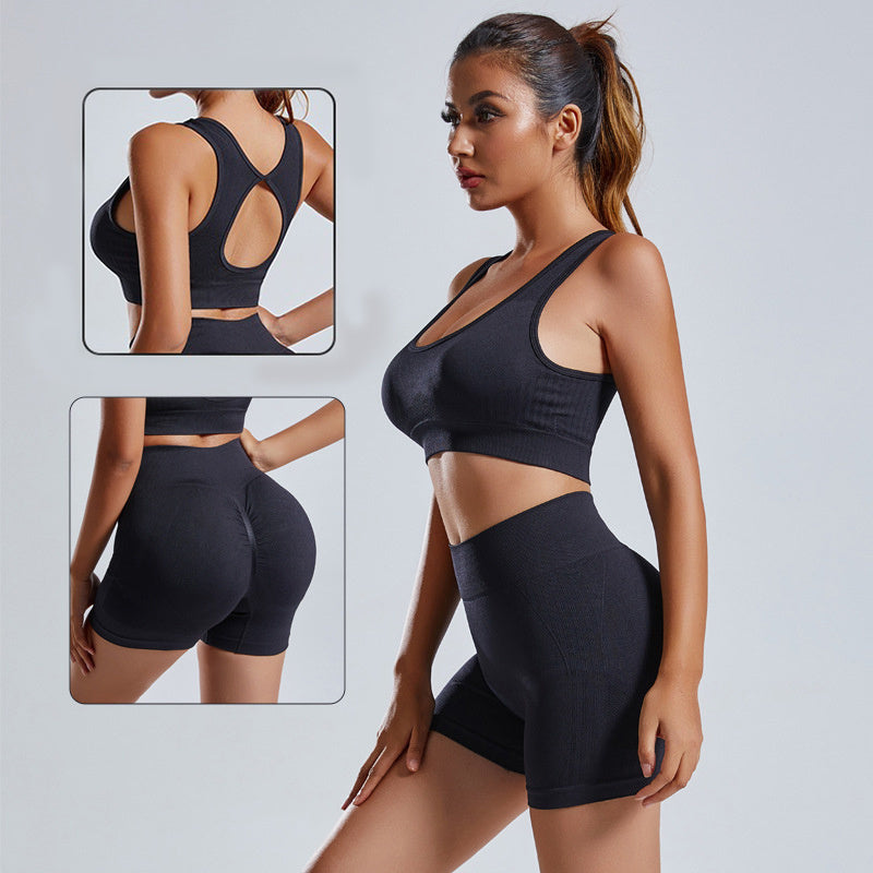 Women's 2 Piece Yoga Set Vest Shorts Seamless Workout Outfit