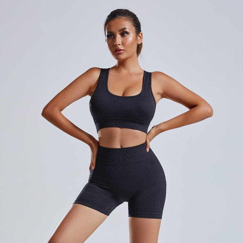Women's 2 Piece Yoga Set Vest Shorts Seamless Workout Outfit